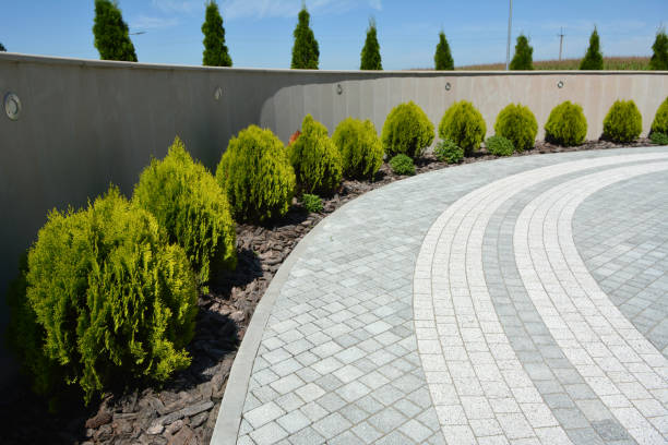 Reasons to Select Us for Your Driveway Paving Requirements in Stem, NC